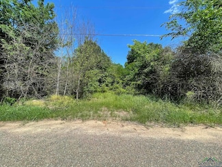 416 Crawford St, Gilmer, TX 75644