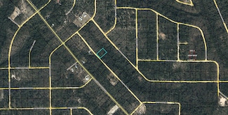 Lot 54 Papaya Dr, Marianna, FL 32448
