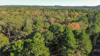 000 Cr 4330, Larue, TX 75770