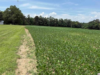 12184 Kentucky 97, Farmington, KY 42040