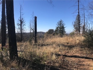 0 Buchner Dr Unit PA21139705, Berry Creek, CA 95916