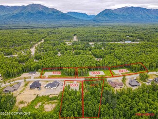 L7 E Windy Woods Loop, Fishhook, AK 99654
