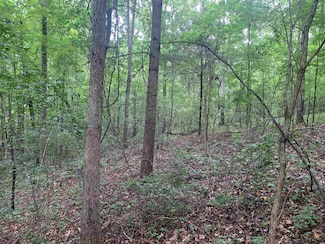 1386C Elvin Weeks Rd, Bethel Springs, TN 38375