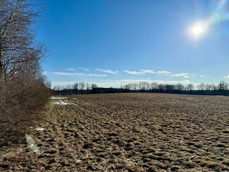 0 W River Rd Unit 24006931, Remus, MI 49340