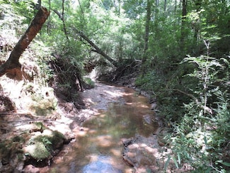 747 Jaynesville Rd, Mount Olive, MS 39119