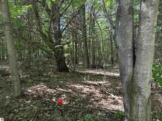 Lot 32 Rose Ct, Torch Lake Township, MI 49648