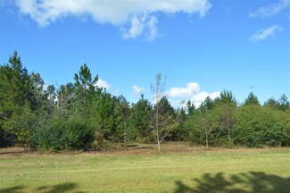 0 Holstein Ln Unit 287057, Cairo, GA 39828