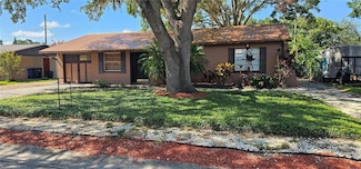 3304 Alamar St, Lutz, FL 33558