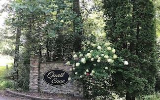 11A Snipe Hollow Ln, Warne, NC 28909