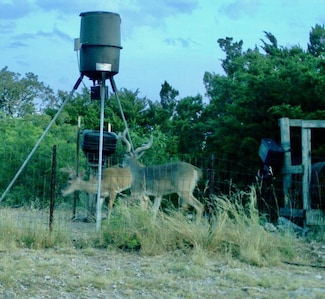 766 pvt Pr 7504, Rocksprings, TX 78880