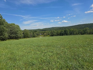 1WP County Highway 49, Pittsfield, NY 13411