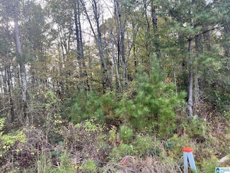 0 Jones Rd Unit 2 21423772, Alpine, AL 35014