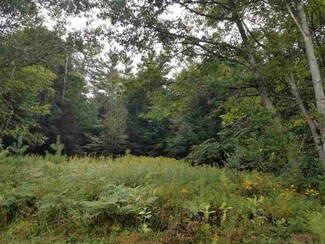 0 Strawberry Hill Rd, Orford, NH 03777