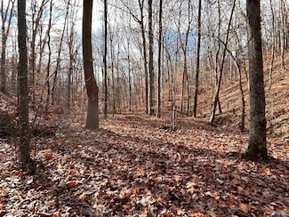 10 AC Pennywinkle Creek Ln, Cherokee, AL 35616