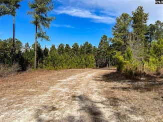 360 Frontage Rd, Leesville, SC 29070