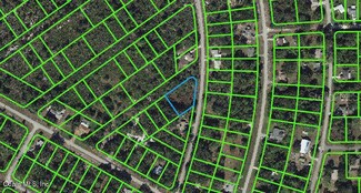 352 Pershing Ave, Lake Placid, FL 33852