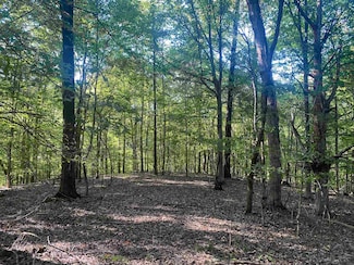 1 Friendship Loop, Savannah, TN 38372