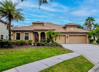 20110 Pond Spring Way, Tampa, FL 33647