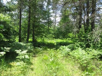 L2 Interlocken Rd, Hazelhurst, WI 54531