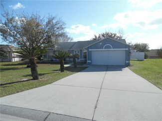 12041 Goldenstar Ln, Clermont, FL 34711