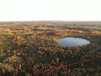 0 Killdeer Ln Unit 50317263, Birnamwood, WI 54414