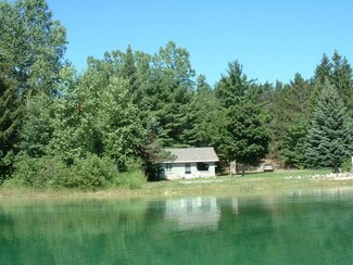 7307 Tahash Ln, Wolverine, MI 49799
