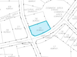 0 Lot 75 Les Maisons Unit 4031945, Flowood, MS 39232