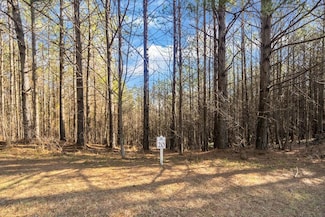 0 Foxpaw Leaf Ln Unit 415618, Ellijay, GA 30536