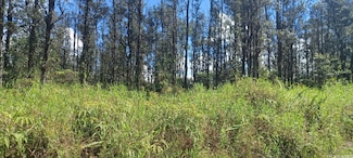 6th Ooaa Rd, Mountain View, HI 96771