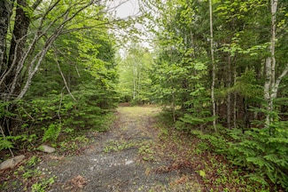 Lot I Partridge Ln, Medford, ME 04463