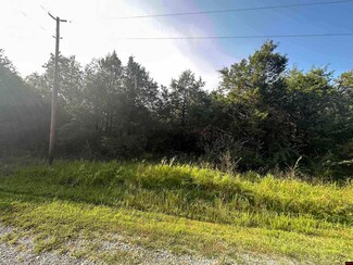 705-26108-000 Greek Ln, Horseshoe Bend, AR 72576