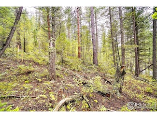 10862 Twin Spruce Rd, Coal Creek Canyon, CO 80403