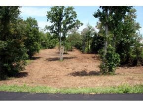 TBD Good Rd, Fall Branch, TN 37656