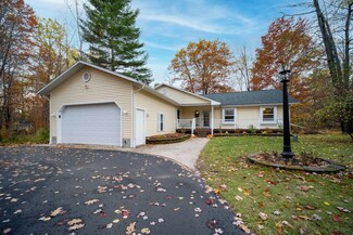 7610 Forest Ln, Alanson, MI 49706