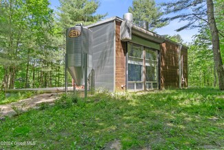 140 Binninger Rd, Shushan, NY 12873