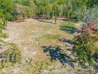 208 Angus Rd, Big Sandy, TX 75755