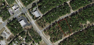 1648 W Donner Dr, Citrus Springs, FL 34434