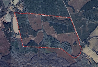 N Brewington Rd, Manning, SC 29102