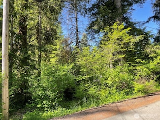 195 Paradise Dr, Eatonville, WA 98328