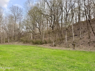 0 Hebron Church Rd, Bentonia, MS 39040