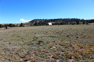 00 Chicksaw Rd, Hartsel, CO 80449
