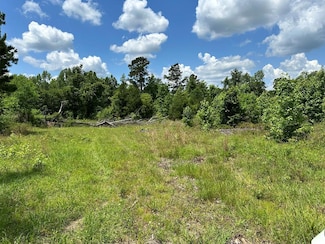 00 Rock Springs Rd, Dublin, GA 31021