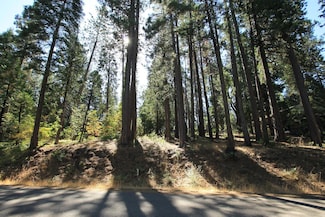 3029 Pine Lake Dr, Arnold, CA 95223