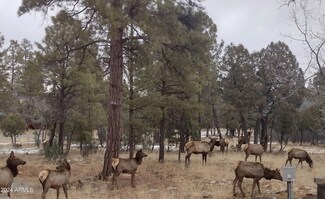 2513 Pine Crest Dr Unit 110, Happy Jack, AZ 86024