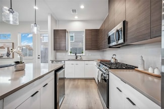 318 Charlock St, Houston, TX 77022