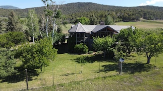 24119 Ute Trail Rd, Cedaredge, CO 81413