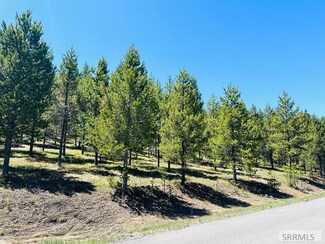 0000 Sawtelle Peak Rd, Island Park, ID 83429