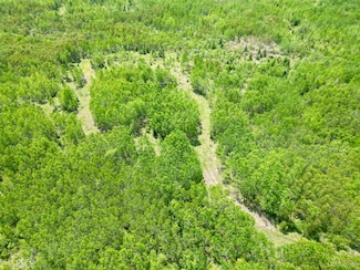 TBD County Road 400, Schaffer, MI 49807