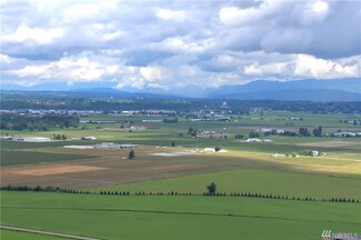 50 Xx Reese Hill Rd, Sumas, WA 98295