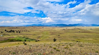 631 Dwyer Trail, Hartsel, CO 80820